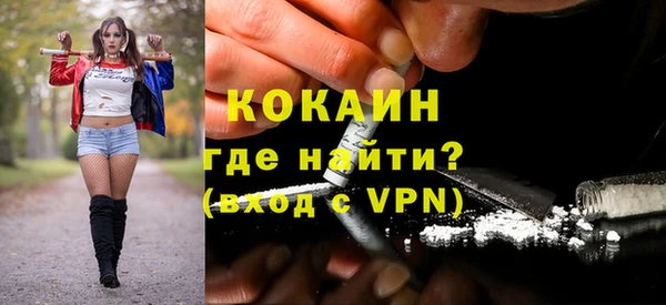 сатива Иннополис
