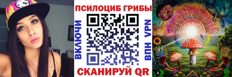 цена   Спас-Деменск  Галлюциногенные грибы Psilocybe 